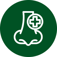 Otorhinolaryngology